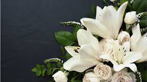 Marta N. Shahbazi, Railway Accident Researcher Spain - Country Has Died